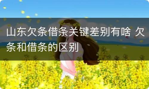 山东欠条借条关键差别有啥 欠条和借条的区别