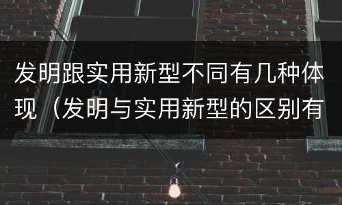 发明跟实用新型不同有几种体现（发明与实用新型的区别有）