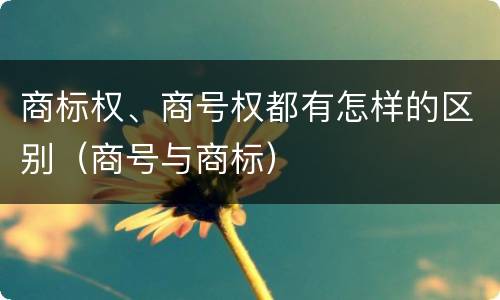 商标权、商号权都有怎样的区别（商号与商标）