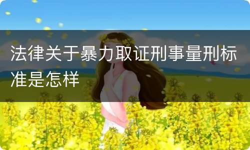 法律关于暴力取证刑事量刑标准是怎样
