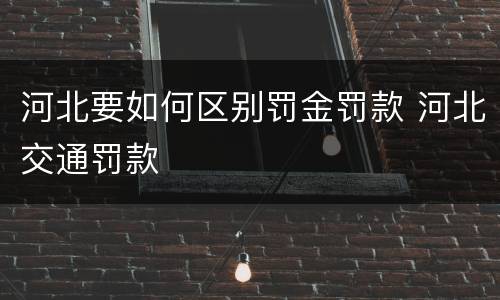 河北要如何区别罚金罚款 河北交通罚款