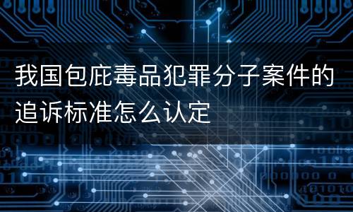 我国包庇毒品犯罪分子案件的追诉标准怎么认定