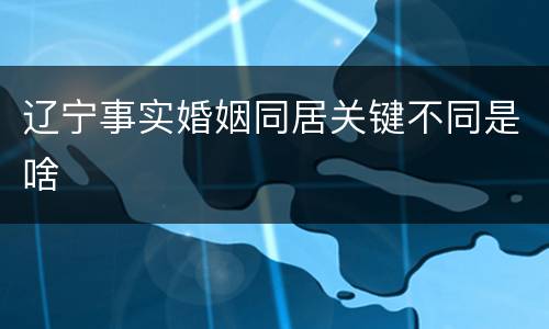 辽宁事实婚姻同居关键不同是啥