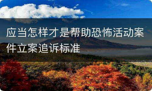 应当怎样才是帮助恐怖活动案件立案追诉标准