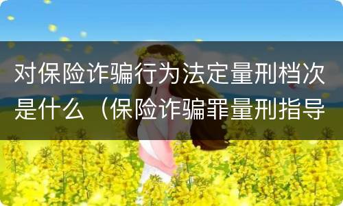 对保险诈骗行为法定量刑档次是什么（保险诈骗罪量刑指导意见）