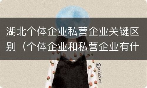 湖北个体企业私营企业关键区别（个体企业和私营企业有什么区别）