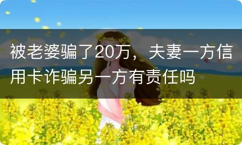 被老婆骗了20万，夫妻一方信用卡诈骗另一方有责任吗