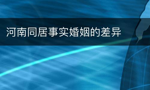 河南同居事实婚姻的差异