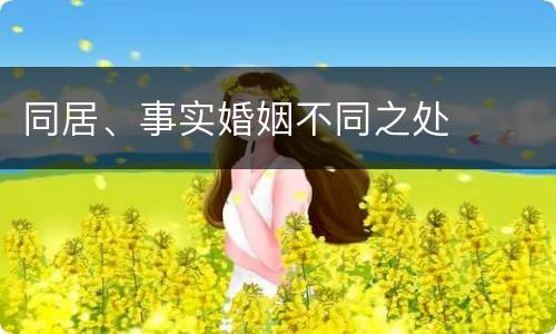 同居、事实婚姻不同之处