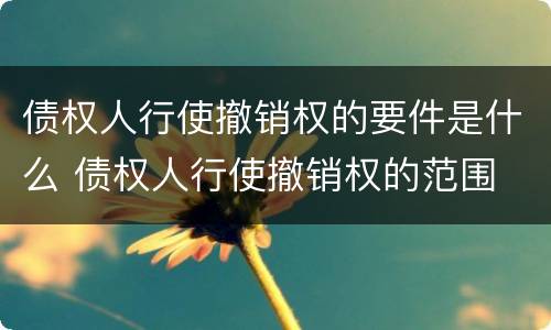 债权人行使撤销权的要件是什么 债权人行使撤销权的范围
