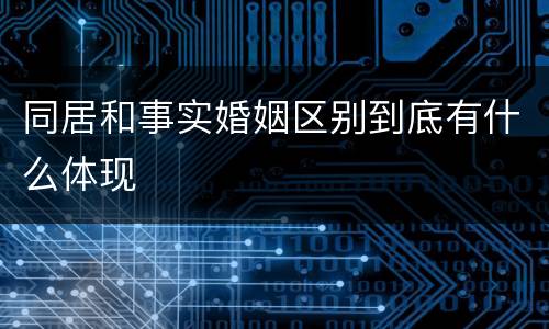 同居和事实婚姻区别到底有什么体现