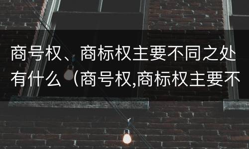 商号权、商标权主要不同之处有什么（商号权,商标权主要不同之处有什么特点）