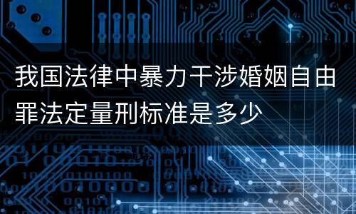 我国法律中暴力干涉婚姻自由罪法定量刑标准是多少