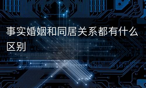事实婚姻和同居关系都有什么区别