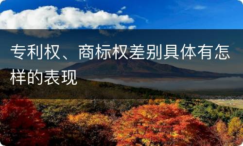 专利权、商标权差别具体有怎样的表现
