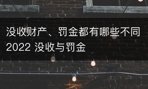 没收财产、罚金都有哪些不同2022 没收与罚金