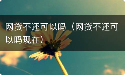 网贷不还可以吗（网贷不还可以吗现在）