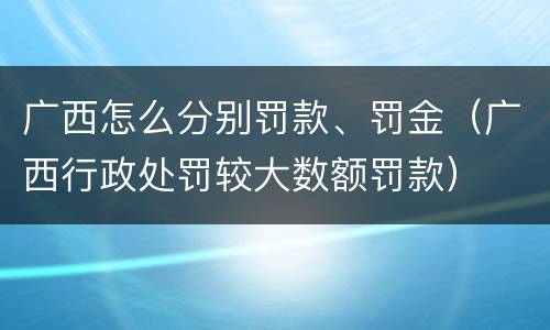 广西怎么分别罚款、罚金（广西行政处罚较大数额罚款）