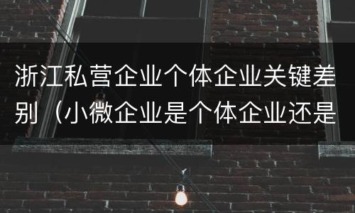 浙江私营企业个体企业关键差别（小微企业是个体企业还是私营企业）