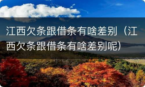 江西欠条跟借条有啥差别（江西欠条跟借条有啥差别呢）
