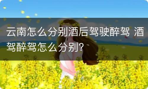 云南怎么分别酒后驾驶醉驾 酒驾醉驾怎么分别?