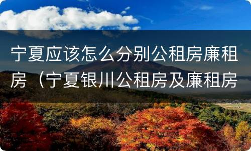 宁夏应该怎么分别公租房廉租房（宁夏银川公租房及廉租房）