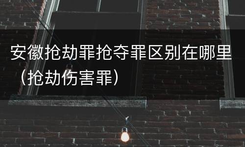 安徽抢劫罪抢夺罪区别在哪里（抢劫伤害罪）