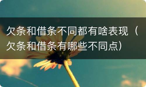 欠条和借条不同都有啥表现（欠条和借条有哪些不同点）