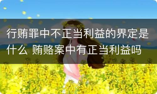 行贿罪中不正当利益的界定是什么 贿赂案中有正当利益吗