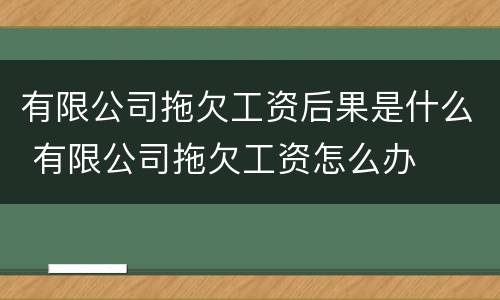 有限公司拖欠工资后果是什么 有限公司拖欠工资怎么办