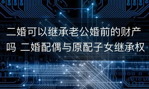 二婚可以继承老公婚前的财产吗 二婚配偶与原配子女继承权
