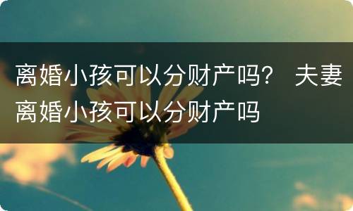 离婚小孩可以分财产吗？ 夫妻离婚小孩可以分财产吗