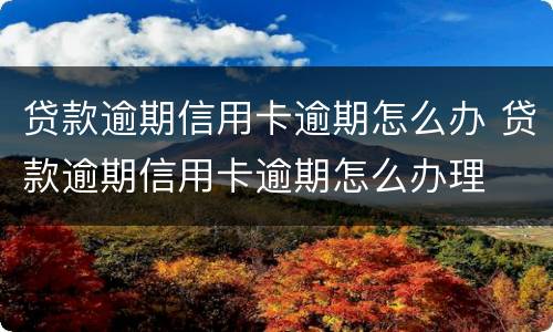 贷款逾期信用卡逾期怎么办 贷款逾期信用卡逾期怎么办理
