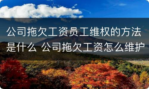 公司拖欠工资员工维权的方法是什么 公司拖欠工资怎么维护权益