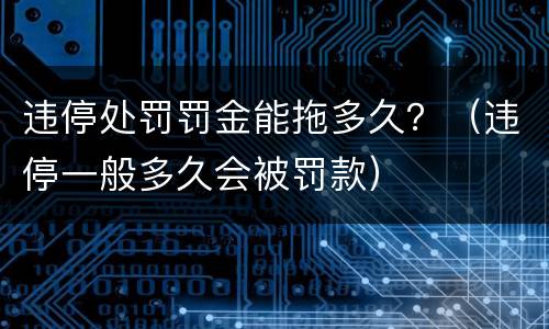 违停处罚罚金能拖多久？（违停一般多久会被罚款）