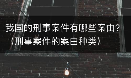 我国的刑事案件有哪些案由？（刑事案件的案由种类）