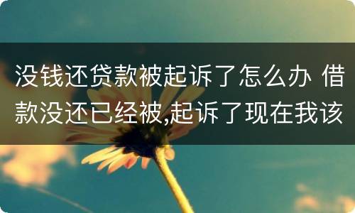 没钱还贷款被起诉了怎么办 借款没还已经被,起诉了现在我该怎么办