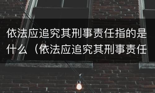 依法应追究其刑事责任指的是什么（依法应追究其刑事责任指的是什么行为）