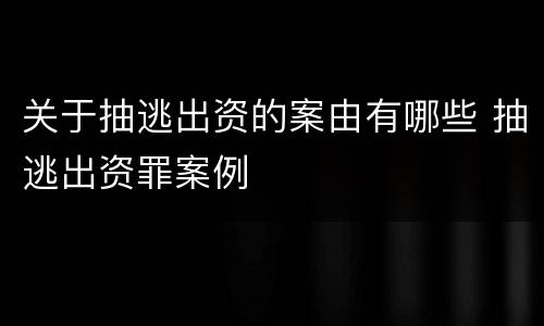 关于抽逃出资的案由有哪些 抽逃出资罪案例