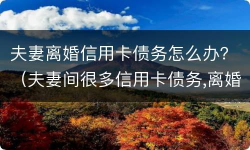 夫妻离婚信用卡债务怎么办？（夫妻间很多信用卡债务,离婚协议）