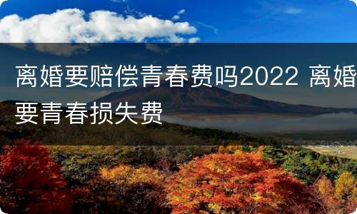 离婚要赔偿青春费吗2022 离婚要青春损失费
