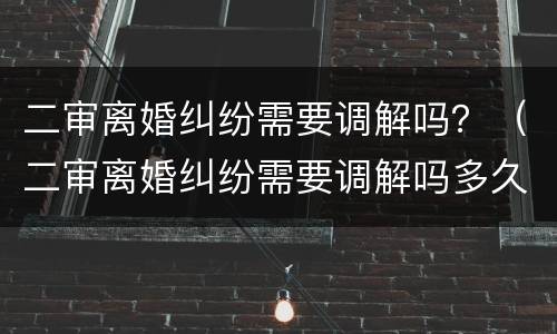 二审离婚纠纷需要调解吗？（二审离婚纠纷需要调解吗多久）