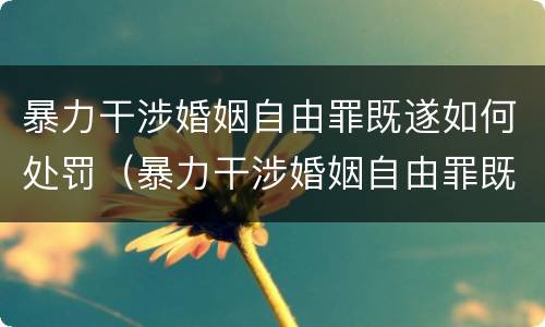 暴力干涉婚姻自由罪既遂如何处罚（暴力干涉婚姻自由罪既遂如何处罚对方）