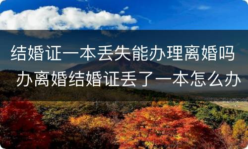 结婚证一本丢失能办理离婚吗 办离婚结婚证丢了一本怎么办