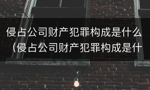 侵占公司财产犯罪构成是什么（侵占公司财产犯罪构成是什么罪）