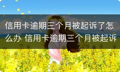 信用卡逾期三个月被起诉了怎么办 信用卡逾期三个月被起诉了怎么办呢