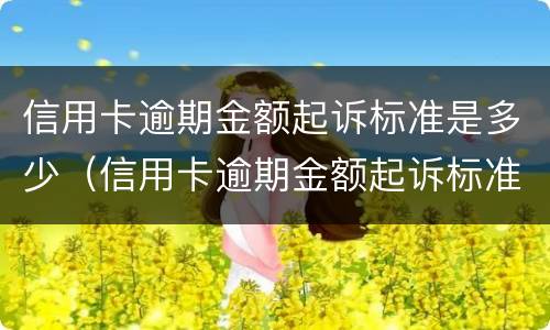 信用卡逾期金额起诉标准是多少（信用卡逾期金额起诉标准是多少天）