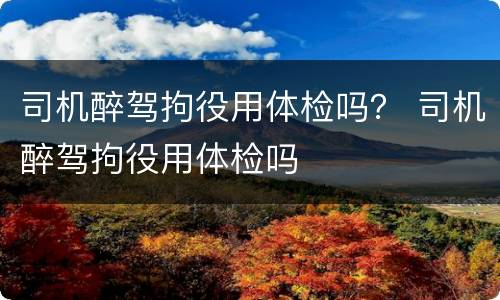 司机醉驾拘役用体检吗？ 司机醉驾拘役用体检吗