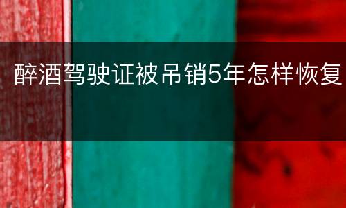 醉酒驾驶证被吊销5年怎样恢复