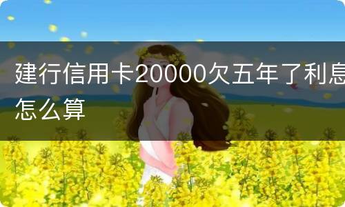 建行信用卡20000欠五年了利息怎么算